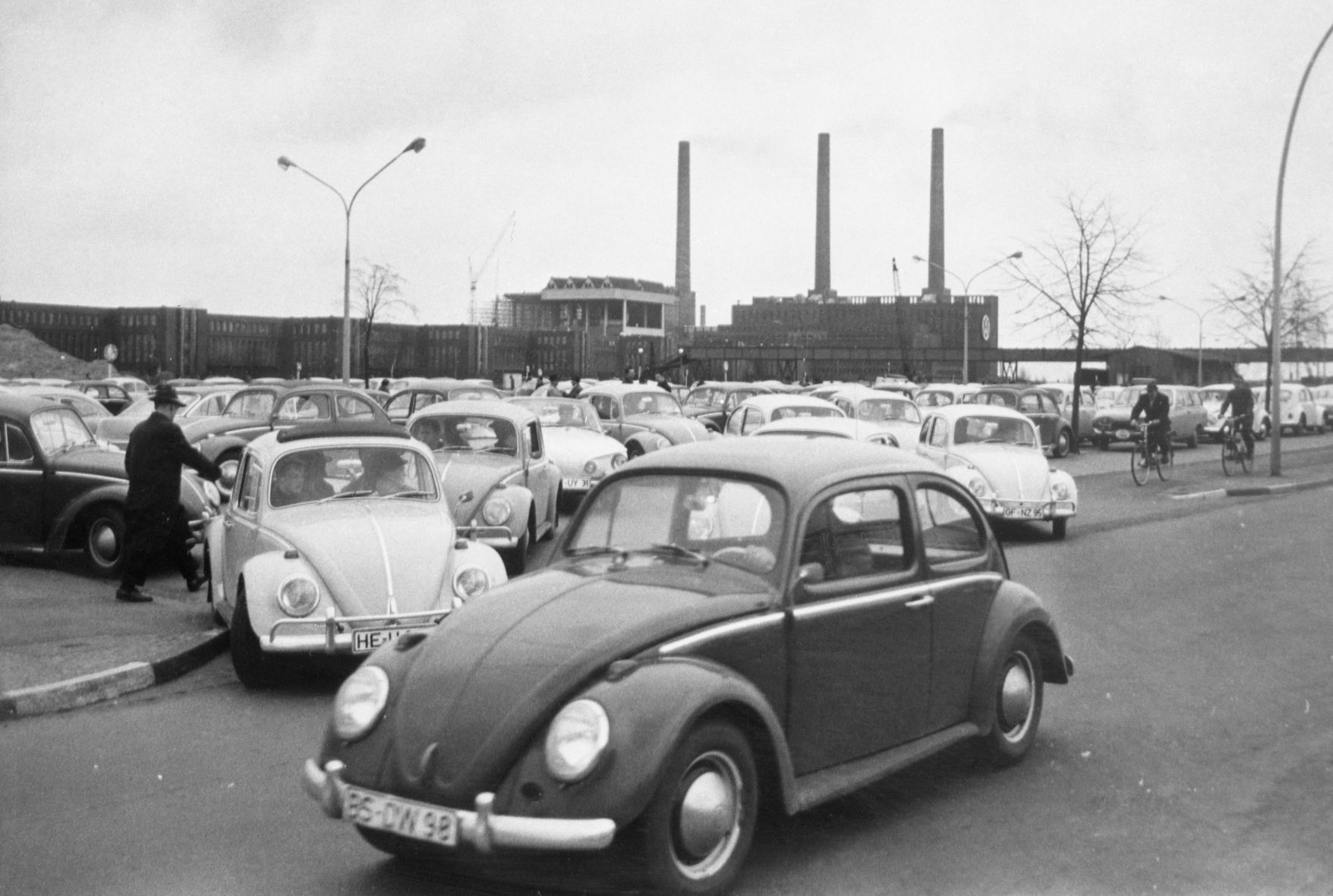 The Last Beetle
